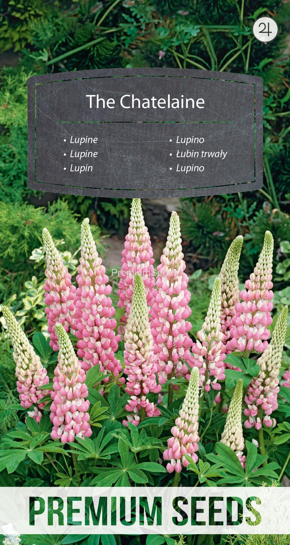 WORLD 13008894PA.indd Lupin The Chatelaine- semences