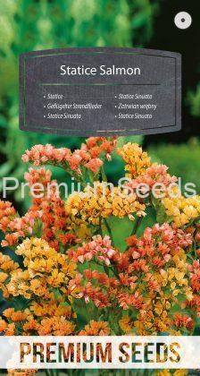 Statice Salmon - seeds