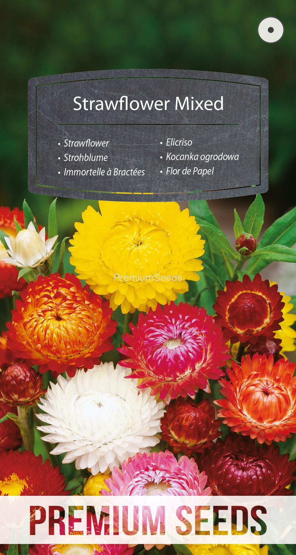 WORLD 13014215PA.indd Strawflower Mixed- seeds