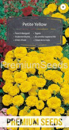 French Marigold Petite Yellow - seeds