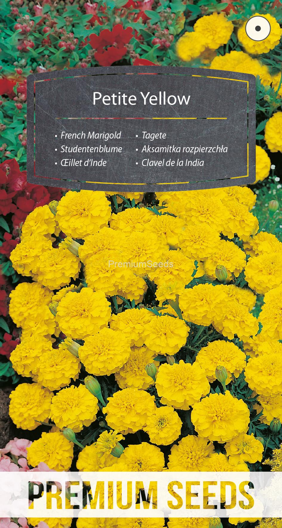 WORLD 13014217FM.indd French Marigold Petite Yellow - seeds
