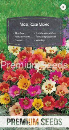 Moss Rose Mixed- seeds