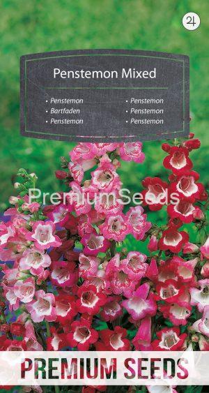 Penstemon Mixed - seeds