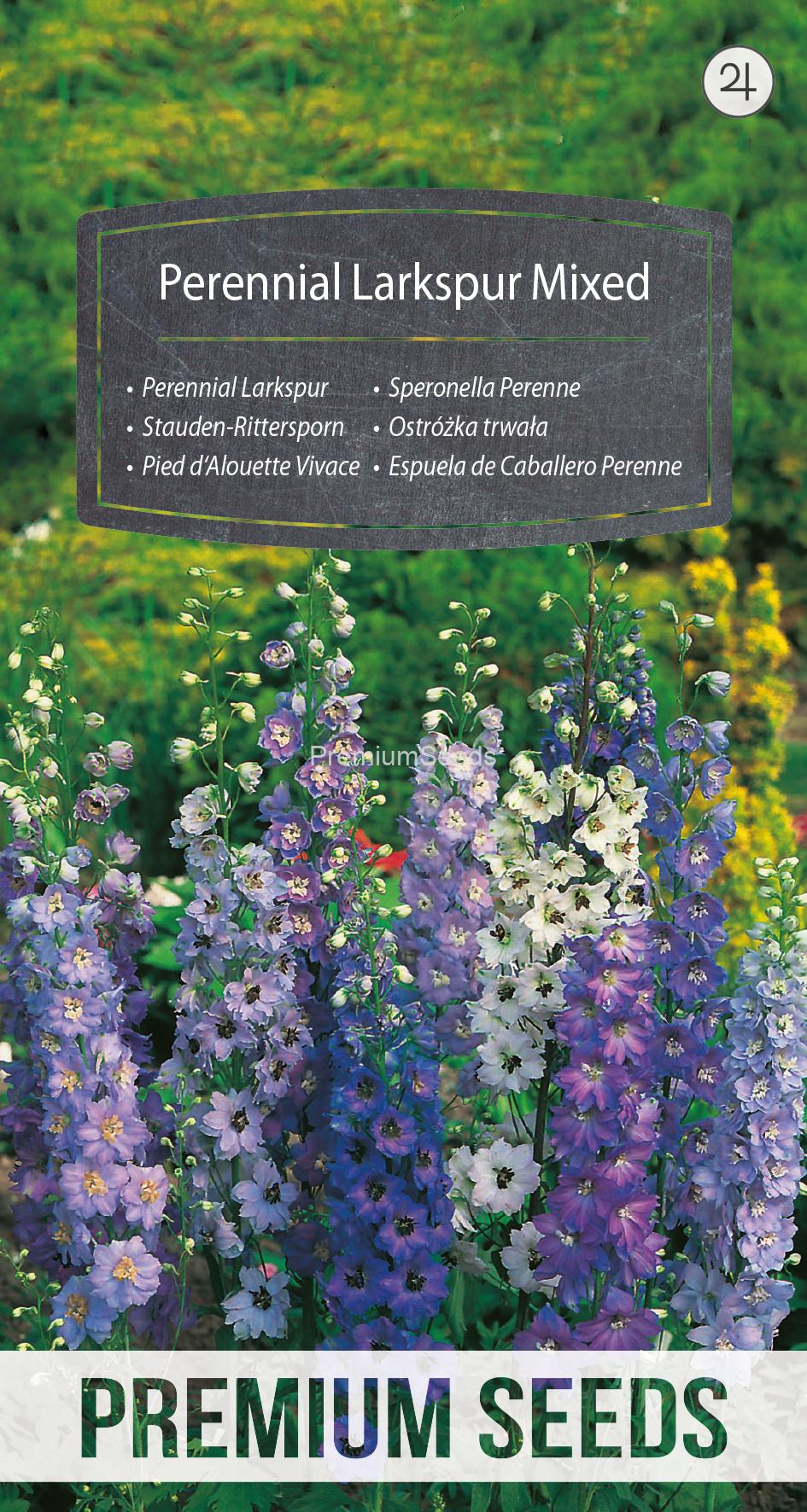 WORLD 13014304FM.indd Perennial Larkspur Mixed - seeds