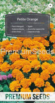 French Marigold Petite Orange - seeds