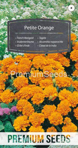 French Marigold Petite Orange - seeds