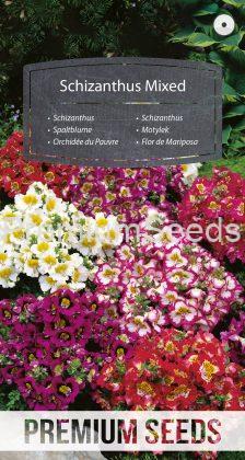 Schizanthus Mixed - seeds