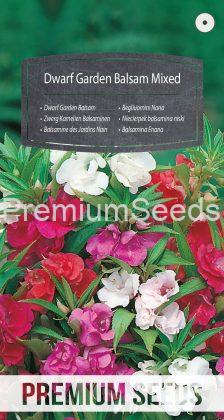 Dwarf Garden Balsam Mixed - seeds