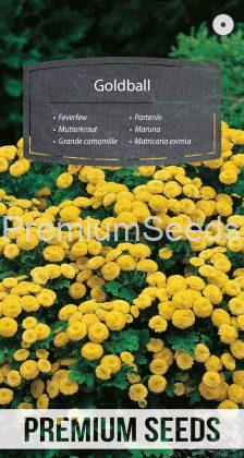 Feverfew Goldball - seeds