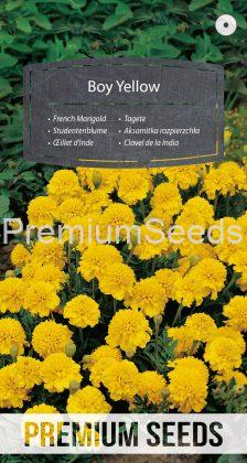 French Marigold Boy Yellow - seeds