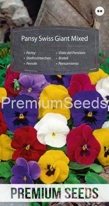 Pansy Swiss Giant Mixed - seeds