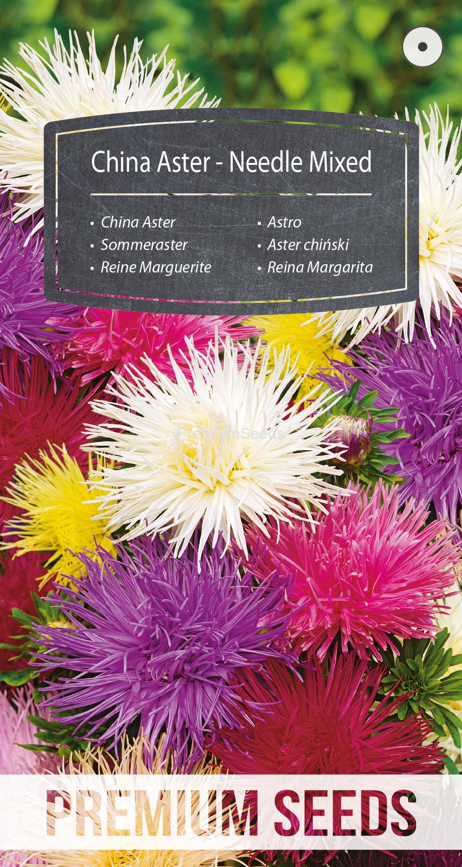 WORLD 14006243PA.indd China Aster - Needle Mixed - seeds