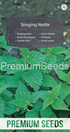 Stinging nettle - seeds