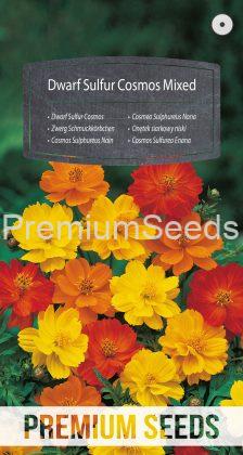 Dwarf Sulfur Cosmos Mixed - seeds