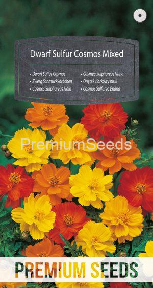 Dwarf Sulfur Cosmos Mixed - seeds