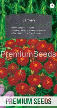 French Marigold Carmen - seeds