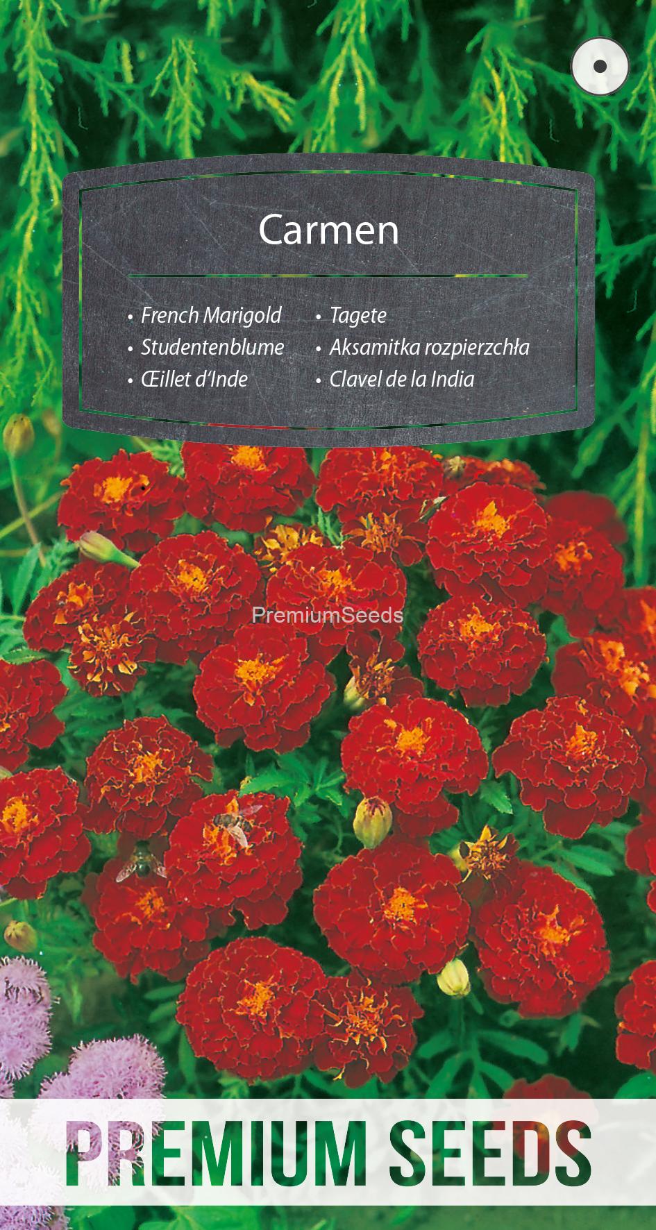 WORLD 14009288PA.indd French Marigold Carmen - seeds