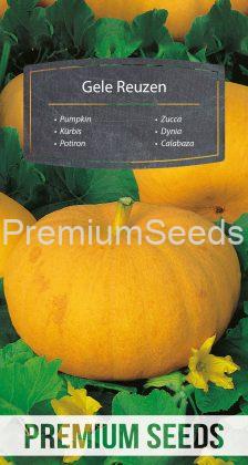 Pumpkin - Gele Reuzen - seeds
