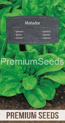 Spinach - Matador - seeds