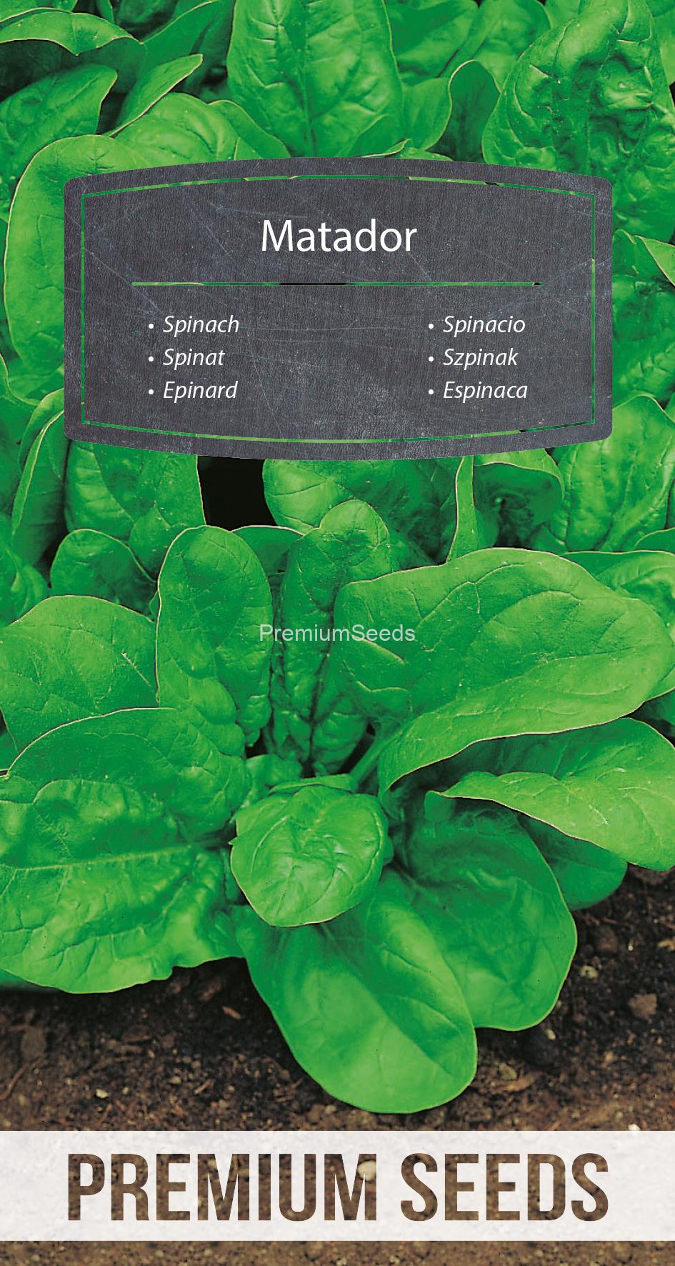 WORLD 14014242PA.indd Spinach - Matador - seeds