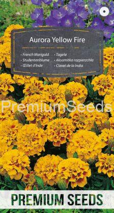 French Marigold Aurora Yellow Fire - seeds