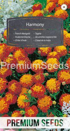 French Marigold Harmony - seeds