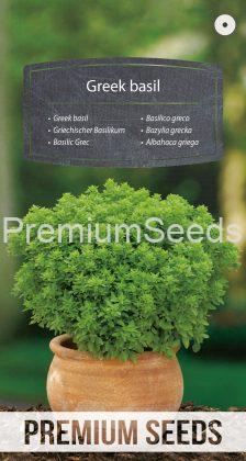 Greek basil - seeds