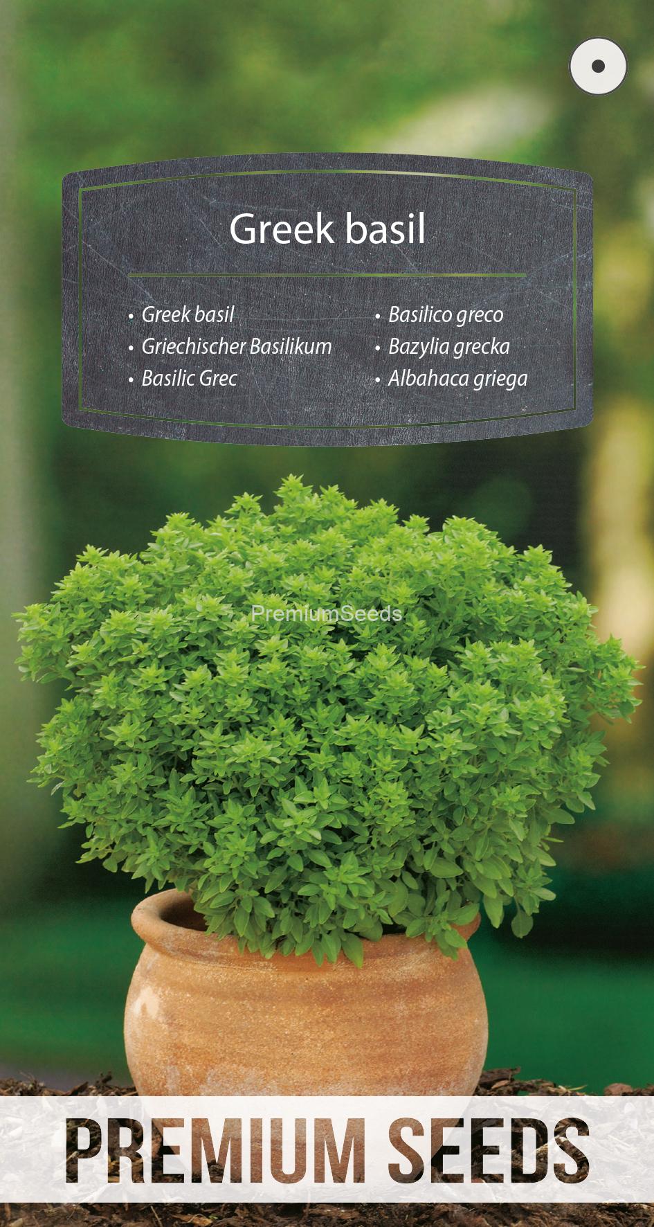 WORLD 14104264PA.indd Greek basil - seeds