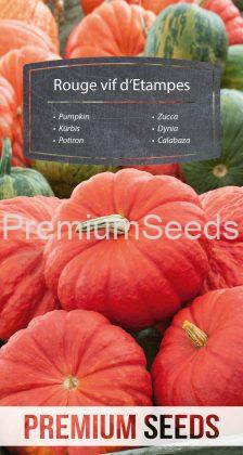 Zucca - Rouge vif d'Etampes - semi