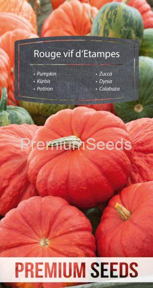 Pumpkin - Rouge vif d'Etampes - seeds