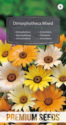 Kapringelblume Mischung - Samen