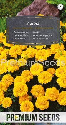 French Marigold Aurora - yellow - seeds