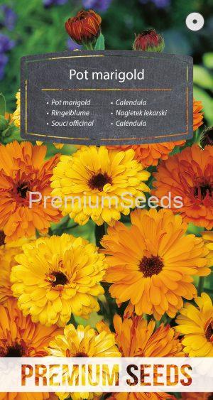 Pot marigold - seeds