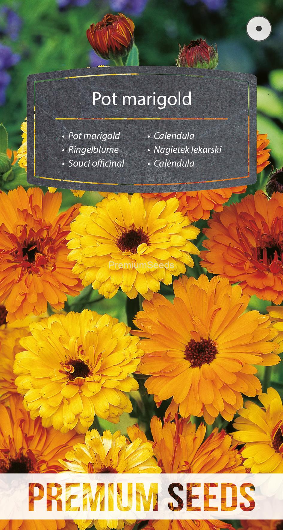 WORLD 14204712PA.indd Pot marigold - seeds