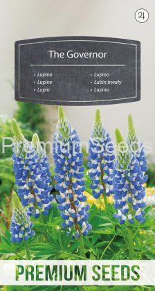 Lupine The Governor - Samen