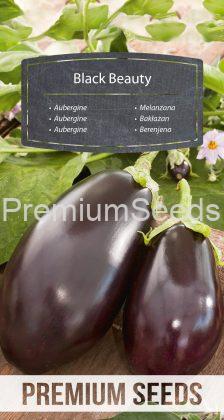 Aubergine Black Beauty - seeds