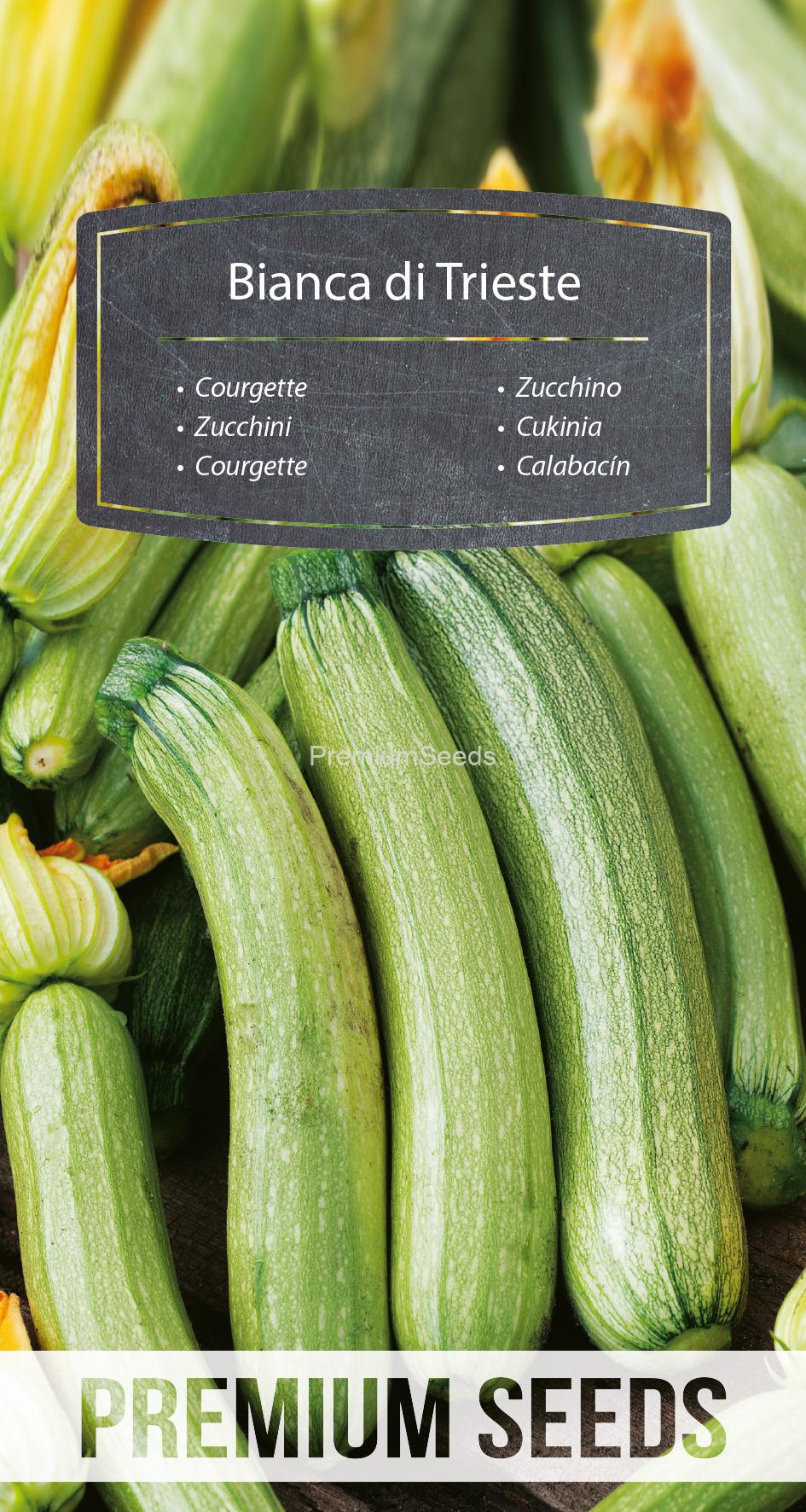 WORLD 14251829PA.indd Courgette - Bianca di Trieste - seeds