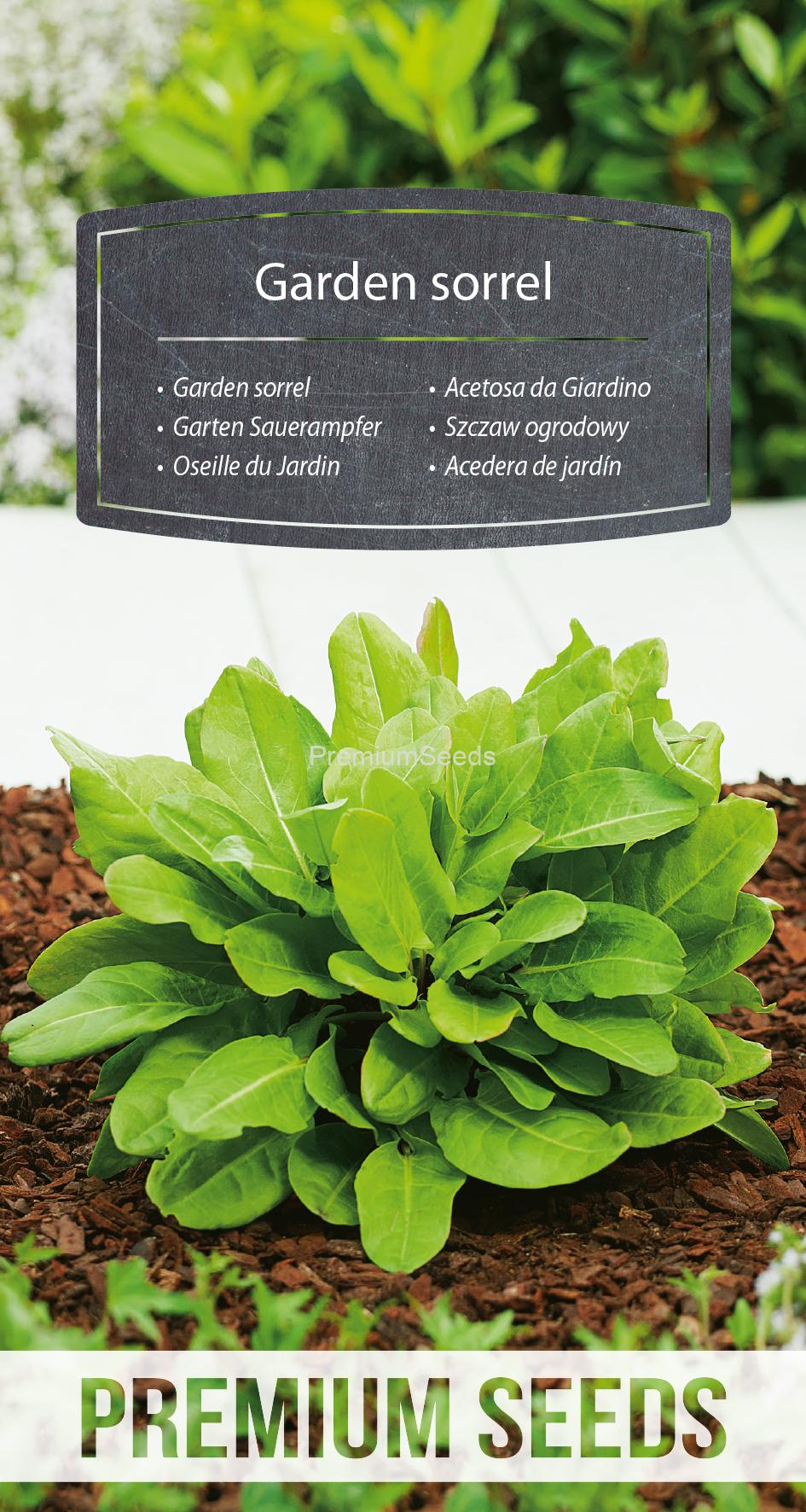 WORLD 14273543PA.indd Acetosa da Giardino - semi