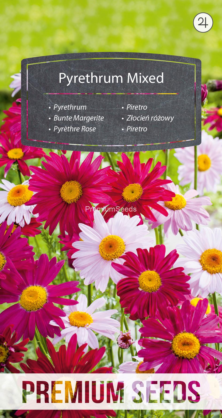 WORLD 14277973PA.indd Bunte Margerite Mischung - Samen