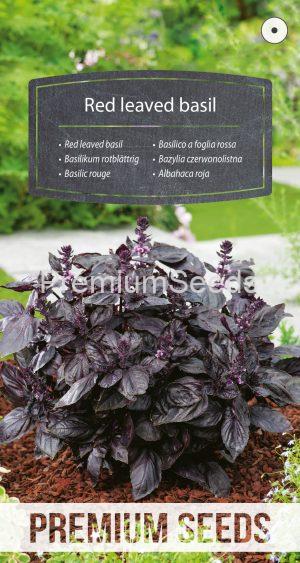 Red leaved basil - seeds