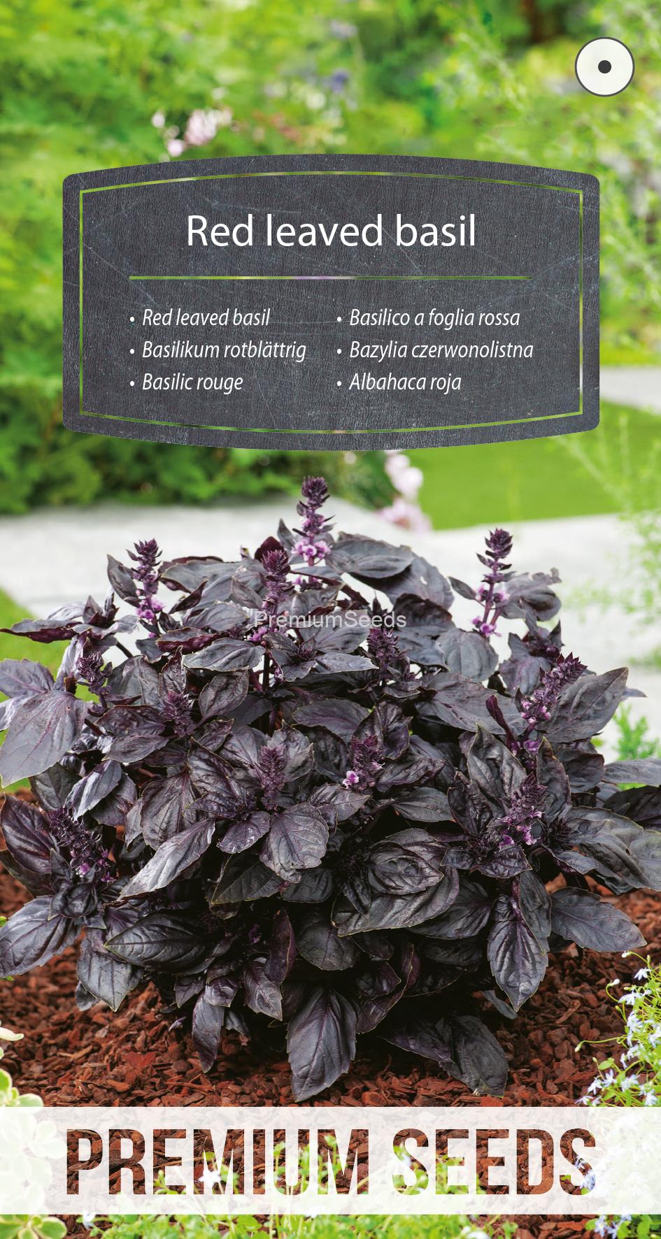 WORLD 14279460PA.indd Red leaved basil - seeds
