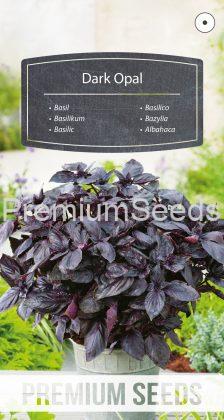 Basil - Dark Opal - seeds