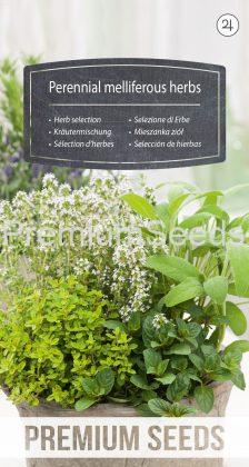 Herb selection - Perennial melliferous herbs - seeds