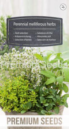 Herb selection - Perennial melliferous herbs - seeds