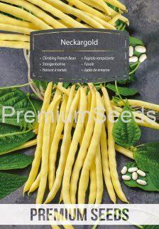 Haricot à rames - Neckargold - semences