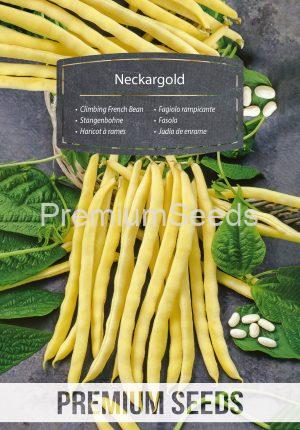 Haricot à rames - Neckargold - semences
