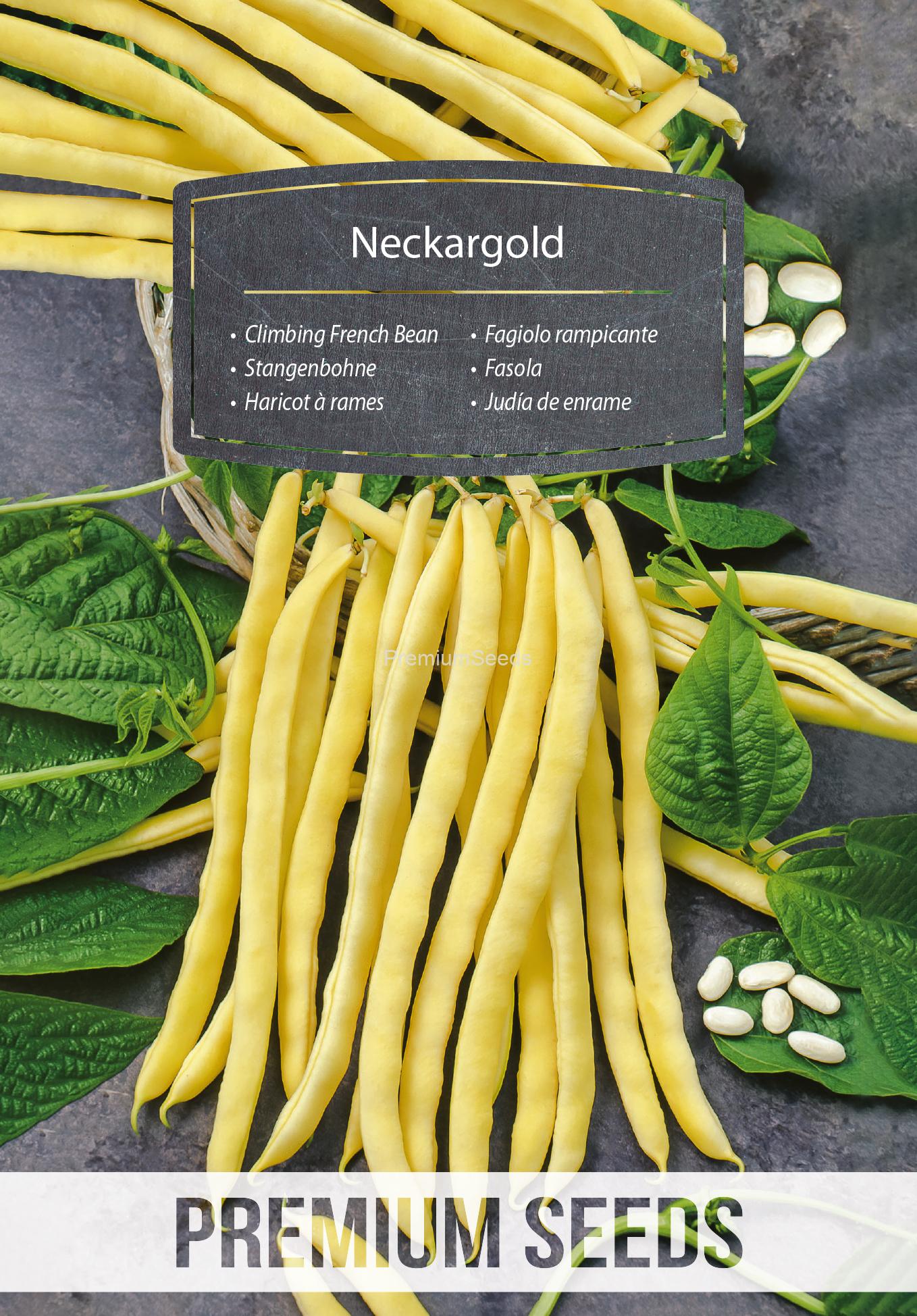 WORLD 14309949PA.indd Climbing French Bean - Neckargold - seeds