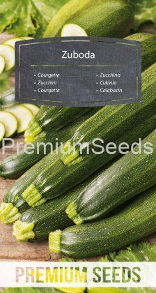 Courgette - Zuboda - seeds