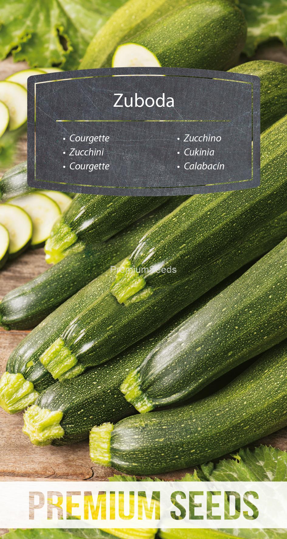 WORLD 14318880PA.indd Courgette - Zuboda - seeds