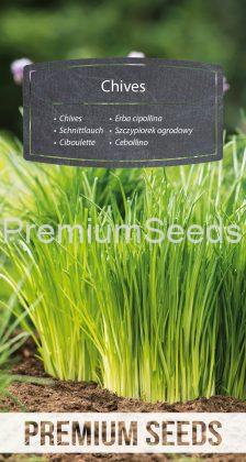 Chives - seeds